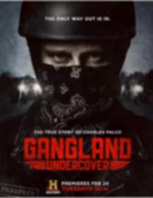 黑帮卧底第一季