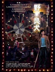 野·良犬