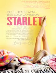 《待绽蔷薇》高清海报