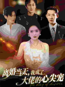 离婚当天我成了大佬的心尖宠