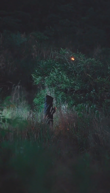 长风散尽终遇你