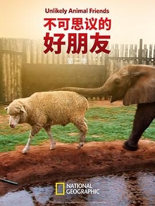 不可思议的好朋友第二季