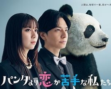 比熊猫更不擅长恋爱的我们