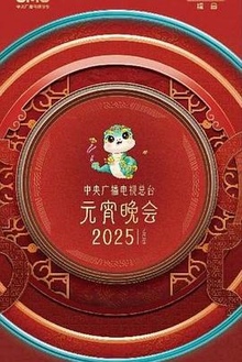中央广播电视总台年元宵晚会