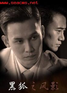 黑狐之风影