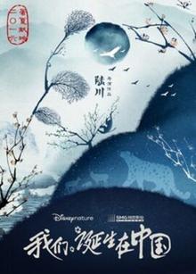 我们诞生在中国