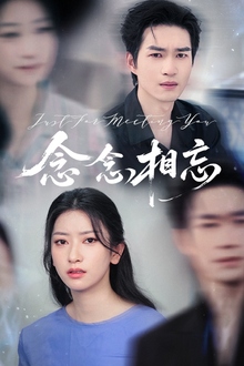 念念相忘短剧版