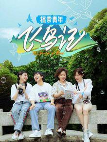 探索青年飞鸟记