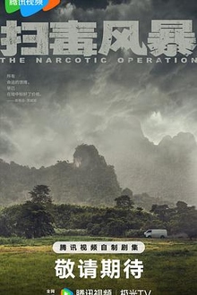 《扫毒风暴》高清海报