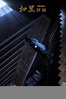 扫黑行动之黄金