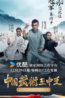 中国武术王中王第二季