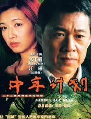 中年计划