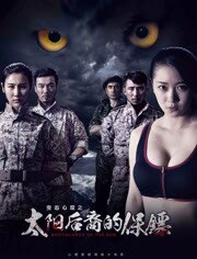 太阳后裔的保镖