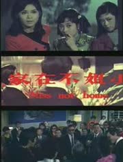 小姐不在家