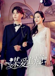 谋爱上瘾第一季