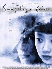 爱在冰雪纷飞时