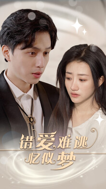 《错爱难逃忆似梦》高清海报