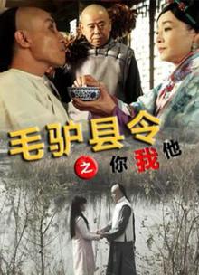 毛驴县令之你我他
