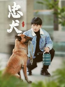 忠犬短剧版