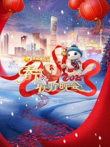 辽宁卫视春节联欢晚会