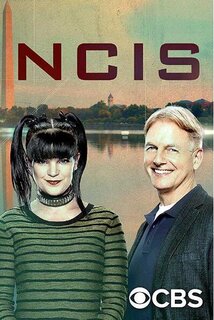 海军罪案调查处第十五季