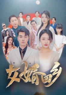 《女婿回乡》高清海报