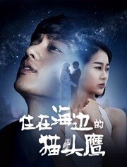 住在海边的猫头鹰