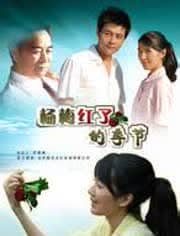 杨梅红了的季节