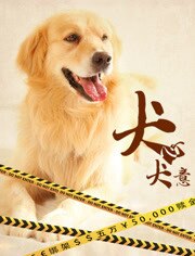 犬心犬意