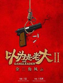 以为是老大11金三角风云