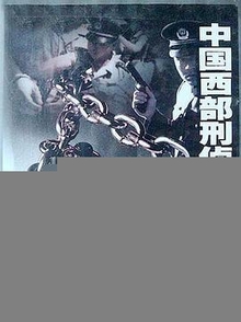 中国西部刑侦大案纪实