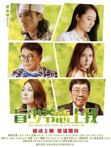 盲少爷恋上我