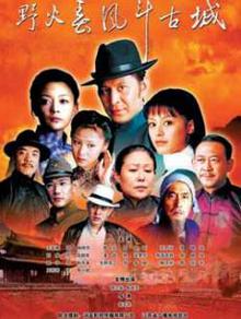 野火春风斗古城