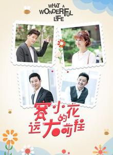 赛小花的远大前程