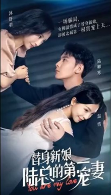 替身新娘：陆总的第一宠妻