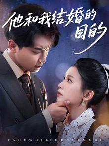 他和我结婚的目的