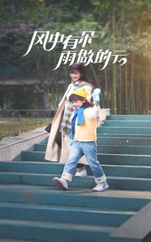 风中有朵雨做的云短剧版