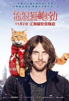 流浪猫鲍勃探长解说
