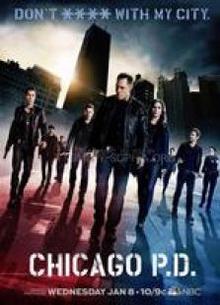 芝加哥警署第一季