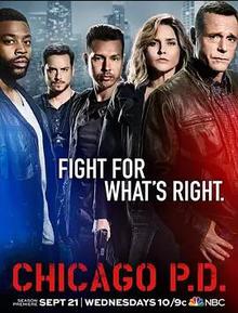 芝加哥警署第四季