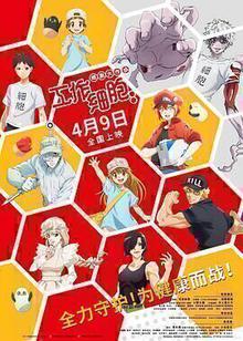 工作细胞：细胞大作战