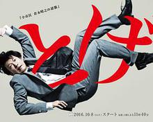 荆棘小市民仓永晴之的逆袭