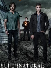 邪恶力量第九季