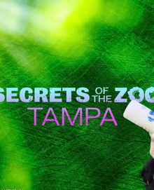 动物园秘辛：坦帕湾第四季