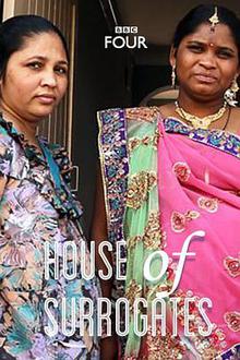 代孕者探长解说