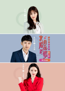 我的极品老婆第二季