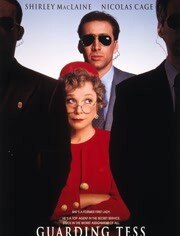 第一夫人的保镖