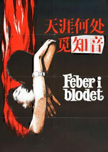 天涯何处觅知音