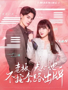 老板夫人她不按套路出牌