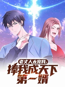 老丈人太宠我捧我成天下第一婿